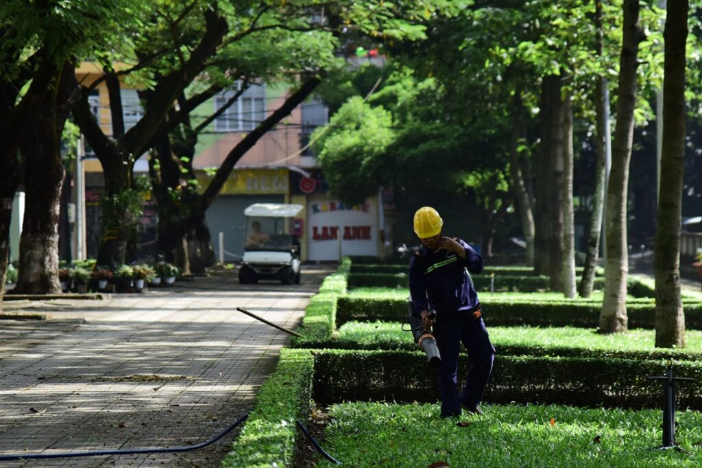 A worker in a park wearing a hard hat is pruning green hedges with a blower.